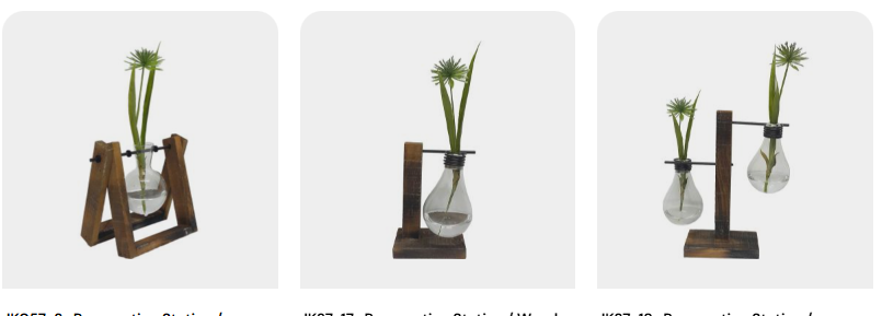 grow-and-display-plants-with-propagation-vases-big-0