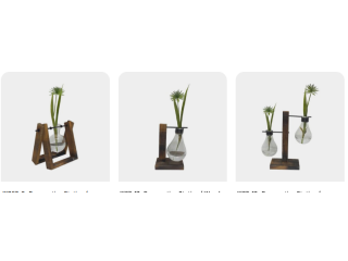 grow-and-display-plants-with-propagation-vases-small-0