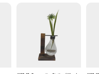 grow-and-display-plants-with-propagation-vases