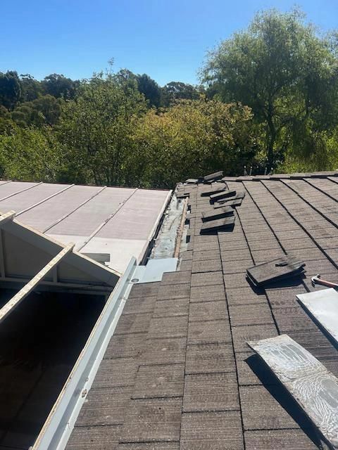 local-roof-painting-adelaide-big-0