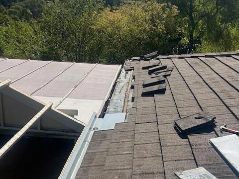 local-roof-painting-adelaide