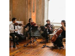 top-tier-string-quartet-melbourne-string-musicians-australia-small-0