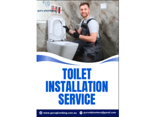toilet-installation-service-near-you-book-now-small-0