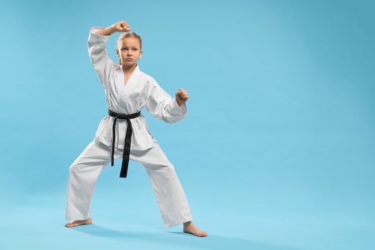 expert-karate-craigieburn-classes-for-kids-beginners-big-0