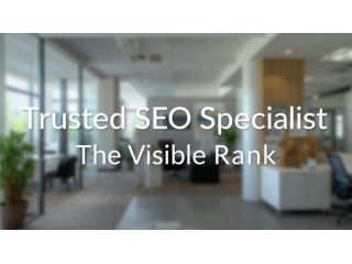 seo-company-melbourne-the-visible-rank-small-1