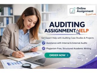professional-auditing-support-for-financial-integrity-small-0