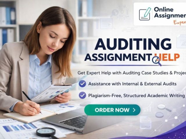 professional-auditing-support-for-financial-integrity
