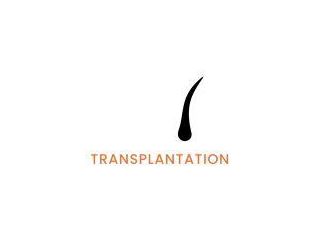 eyebrow-transplant-melbourne-expert-eyebrow-small-0