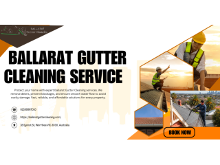 gutter-cleaning-in-winter-valley-small-0