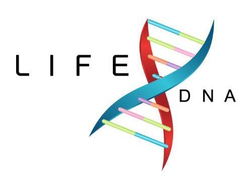 advanced-genetic-methylation-test-perth-dna-test-perth-insights
