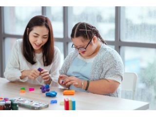 disability-living-assistance-for-greater-independence-small-1