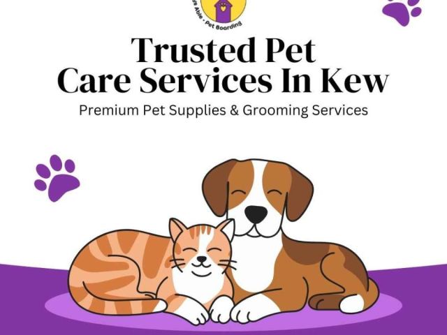trusted-pet-care-services-in-kew-nsw-for-dogs-and-cats