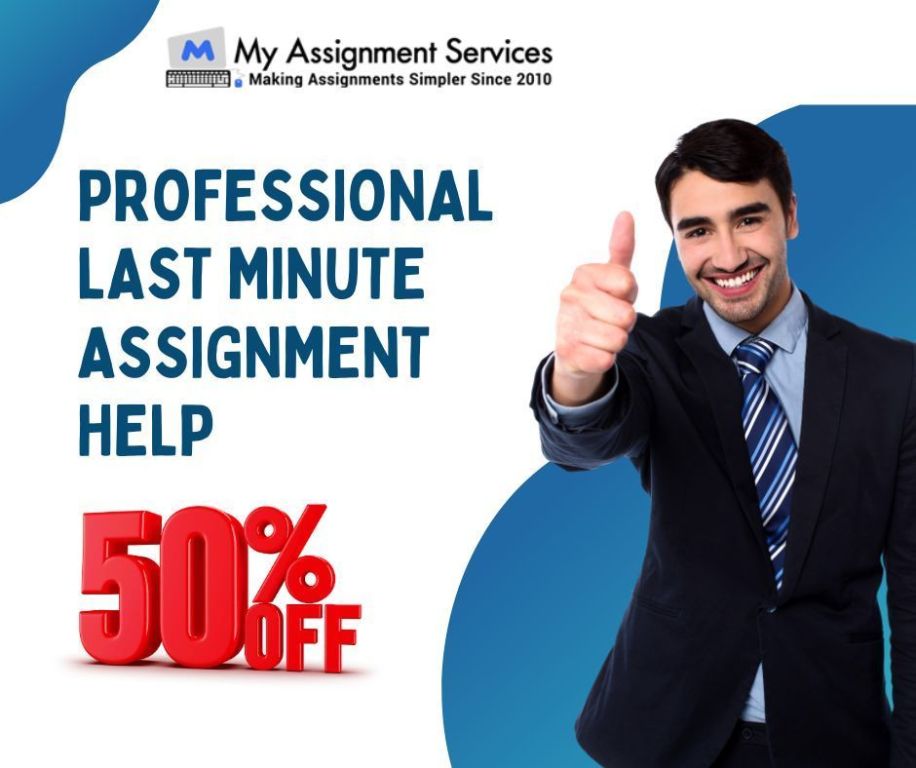 last-minute-assignment-help-at-50-off-limited-deal-big-0