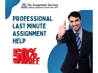 last-minute-assignment-help-at-50-off-limited-deal-small-0
