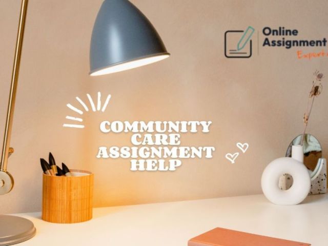 community-care-assignment-help-expert-nursin