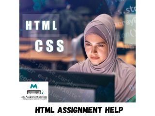 html-assignment-help-expert-support-for-web-development-tasks-small-0