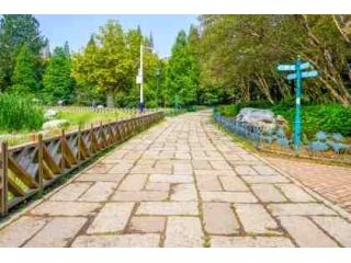 custom-driveways-cranbourne-solutions-for-every-property-small-0