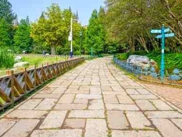 custom-driveways-cranbourne-solutions-for-every-property