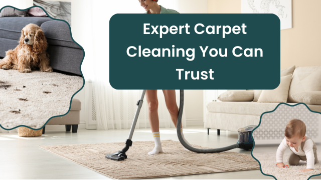 modern-carpet-cleaning-balcatta-fresh-carpets-modern-care-big-0