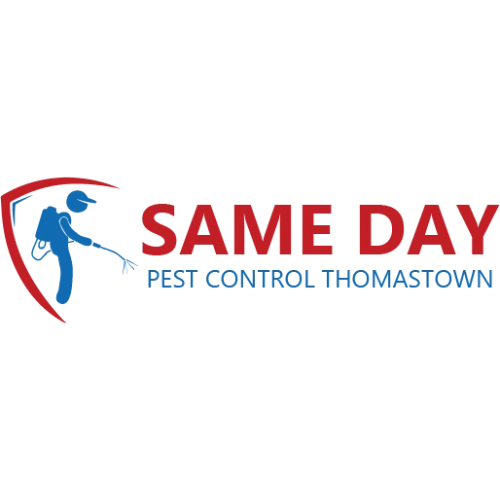 same-day-pest-control-thomastown-big-0