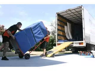 searching-for-gc-removals-small-0