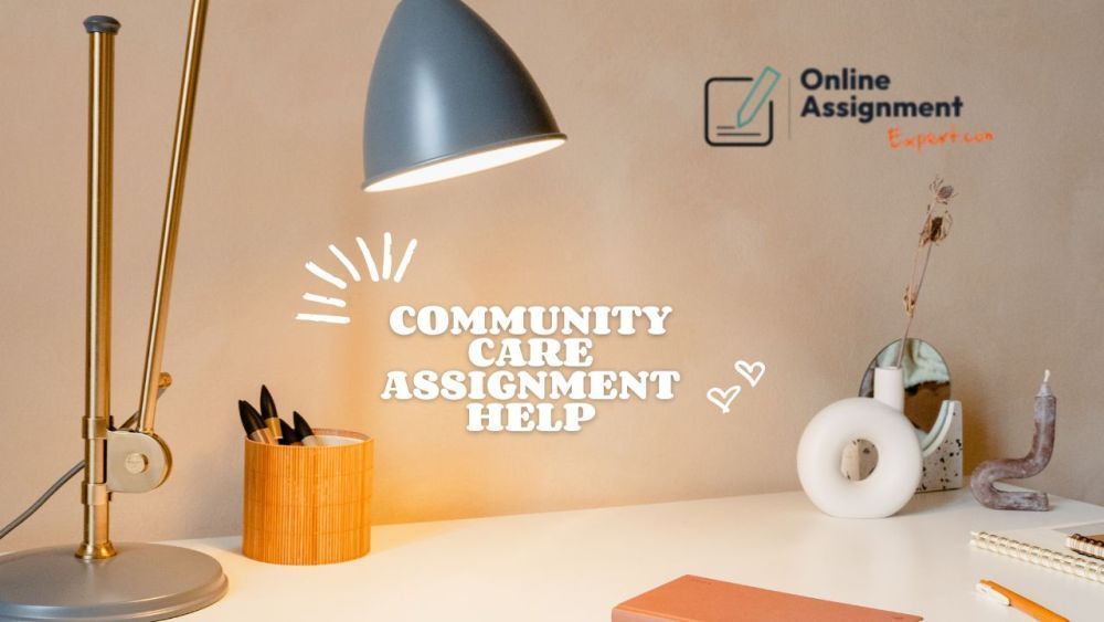 community-care-assignment-help-expert-nurin-big-0