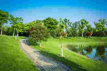 affordable-landscaping-mosman-park-by-trusted-experts-big-0
