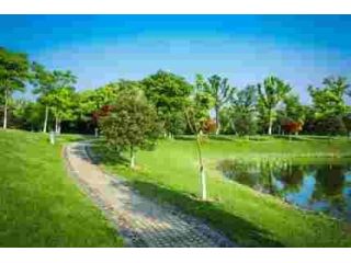 affordable-landscaping-mosman-park-by-trusted-experts-small-0