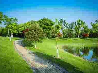 affordable-landscaping-mosman-park-by-trusted-experts