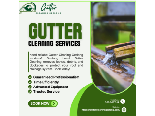 gutter-cleaning-in-hamlyn-heights-small-0