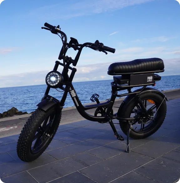 e-bike-safety-security-accessories-big-0