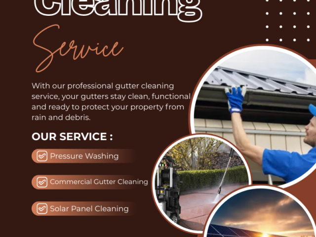 gutter-cleaning-in-donnybrook