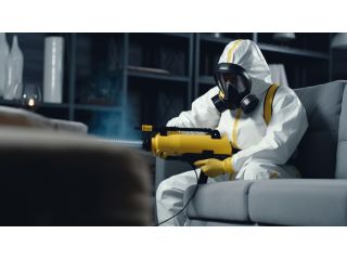 end-of-lease-pest-control-in-geelong-small-0