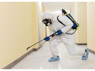 mosquito-treatment-gold-coast-small-0