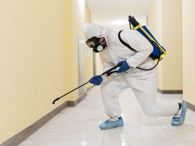 mosquito-treatment-gold-coast