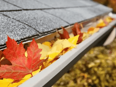 gutter-cleaning-in-portarlington