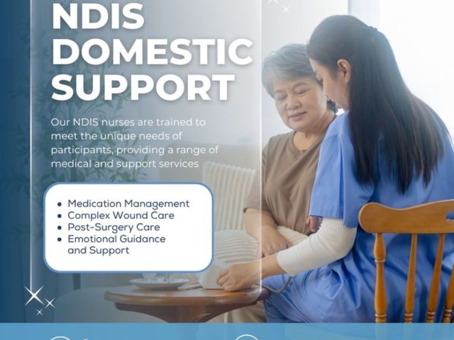 ndis-domestic-support