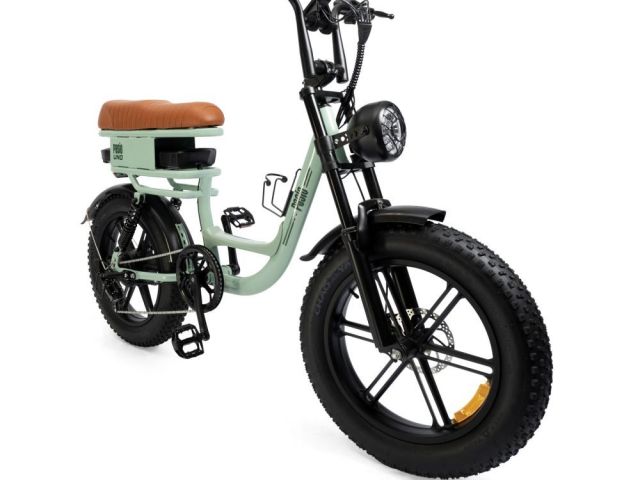 buy-electric-bikes-online-at-best-price-in-australia-pasio