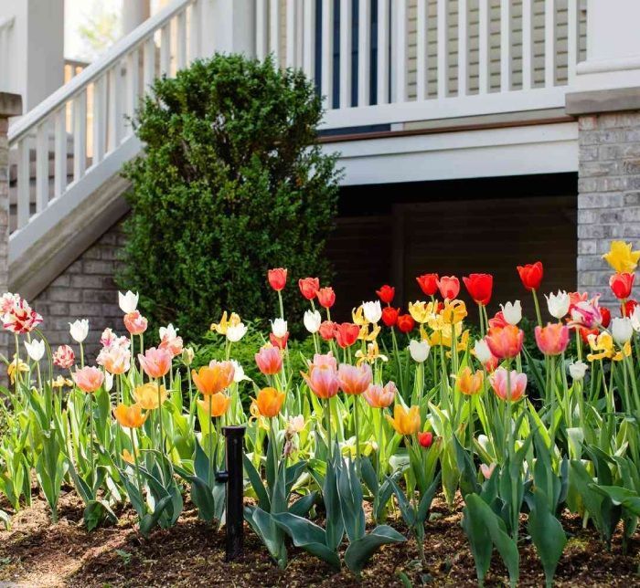 landscaping-services-sydney-transform-outdoors-big-2