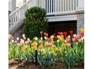 landscaping-services-sydney-transform-outdoors-small-2