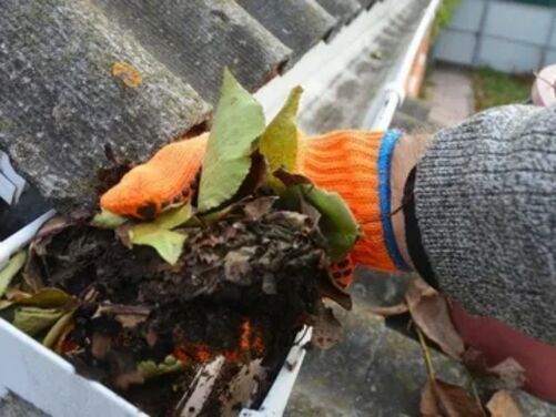 gutter-cleaning-in-bo-peep