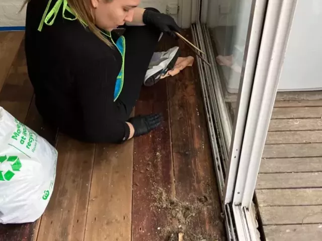 struggling-with-post-reno-dust-dirt-book-expert-cleaning-now