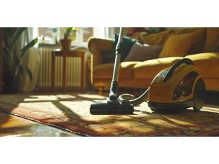 restore-your-rugs-with-professional-steam-cleaning-services-small-0