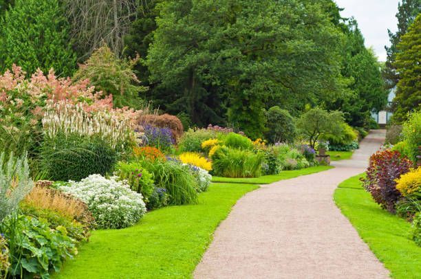 backyard-transformation-service-big-2