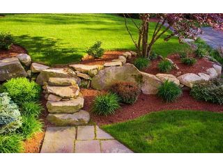 backyard-transformation-service-small-1