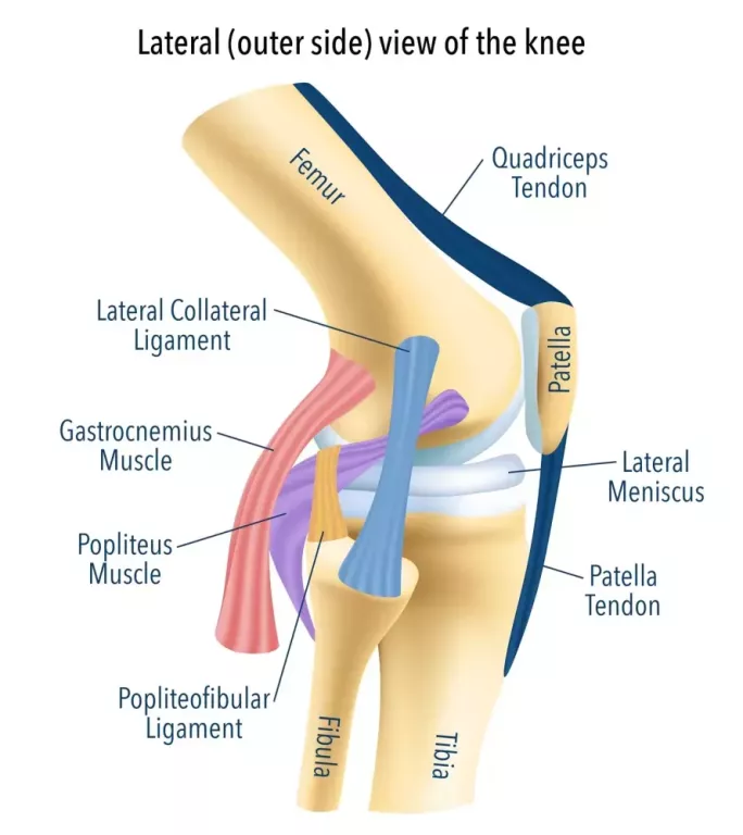 patella-fracture-treatment-that-gets-you-moving-again-big-0