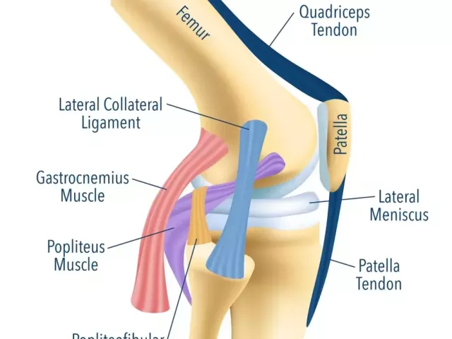patella-fracture-treatment-that-gets-you-moving-again