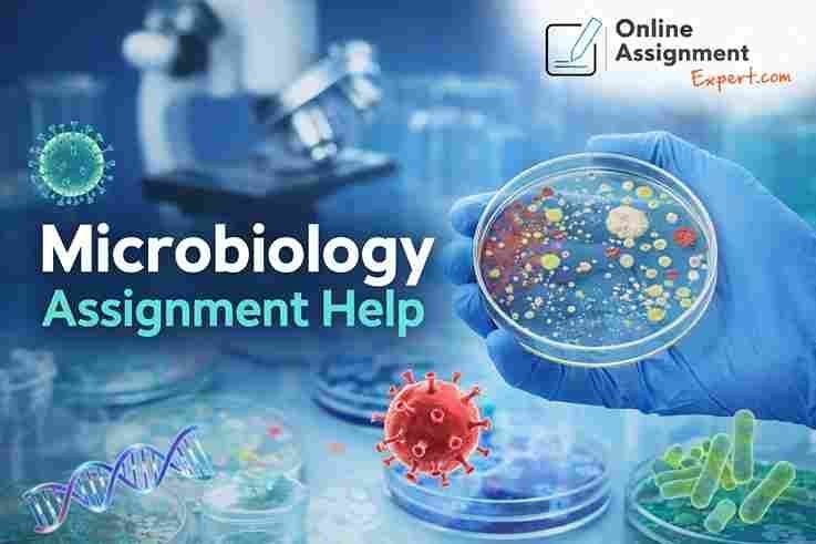 get-30-off-on-expert-microbiology-assignment-help-big-0