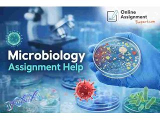 get-30-off-on-expert-microbiology-assignment-help-small-0