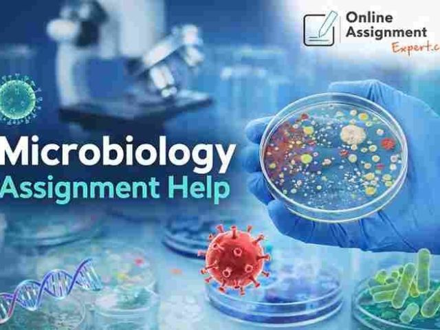 get-30-off-on-expert-microbiology-assignment-help